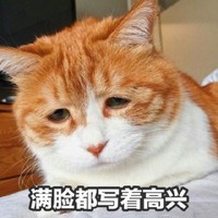 刘宇栋