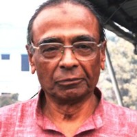 reja bora