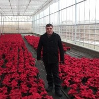 Avtandil Talakhadze