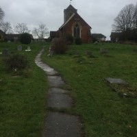 Martin Doyle
