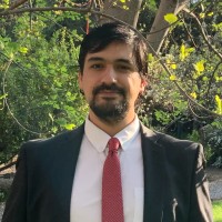 Ignacio Vallejos Verdaguer