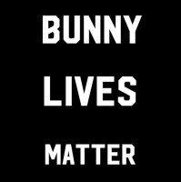 Pixie’s Warren juih