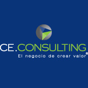 CE Consulting