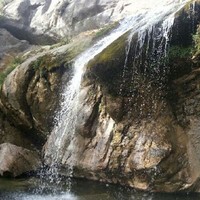 susana morales padilla