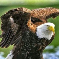 Roberto Vazquez Fernandez