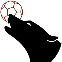 Coaching Performance Plus