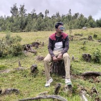 Murugan Phoenix Employee World