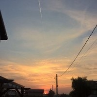 Dobre Liliana
