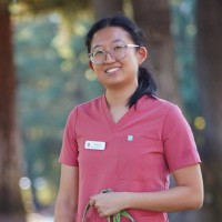 Erica Wang