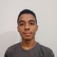 Paulo Victor De Souza Santos