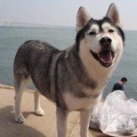 梁华清