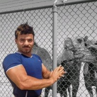 Ali Dib