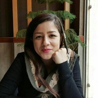 fatemeh vahidi