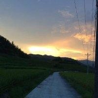 杨一华