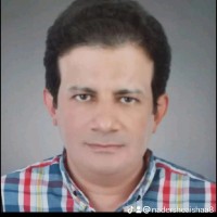 Nader Sheaishaa