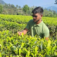Venkatesh Dondapati