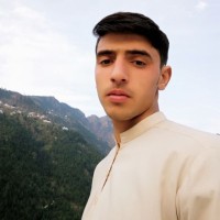 Hikmat Ali