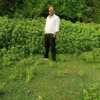 Mukesh Kumar