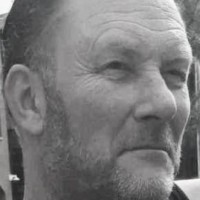 Rene van Reenen