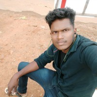Singaravelan P