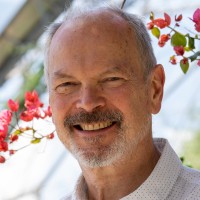 Iain Boyd