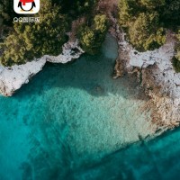 王志磊