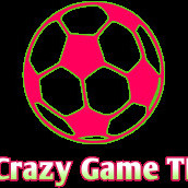 Crazy Game TM