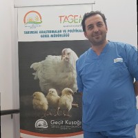 Berkan Yılmaz
