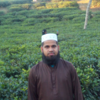 Md. Saiful Islam