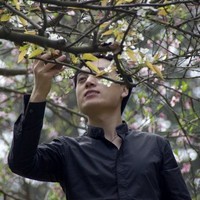 David Wang