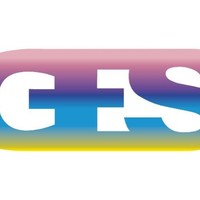 Ges srl Elettromedicali Estetica Wellness