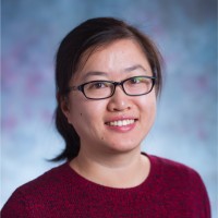 Xiaofei Yin