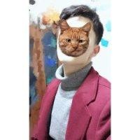 杨宏光