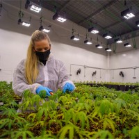 Andrea García-Guiu Del Buey