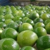 German Augusto Sanchez Jimenez