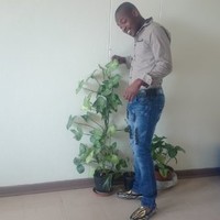 Matsobane Timothy Masela