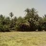 Youssef Youssef