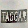 Ravi Taggar