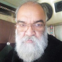 Syed Basit Ali Shah Havi