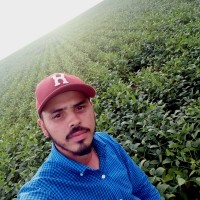 Leomar agro