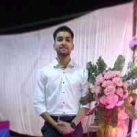 Mohammad Arman