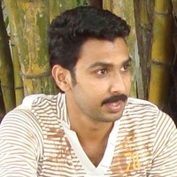 ibson n