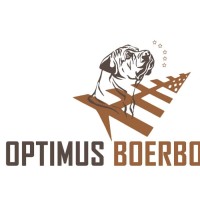 Optimus Boerbooel