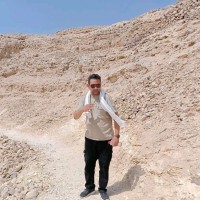 محمود فرجاني
