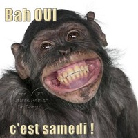 Timide Futur