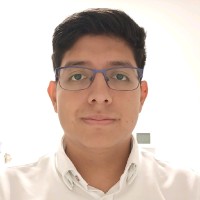 Juan Carlos Alvarado Puluc