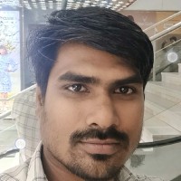 Gopalakrishnan P