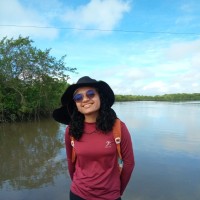 Amanda Lanna C. da Silva