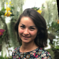 Colleen Perseo, Lmsw, Lcsw