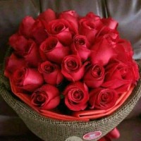 UMAR GOHAR